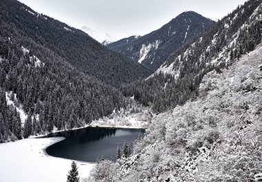 Kışın Kazakistan dağlarında Kolsay Dağı 'nın manzarası ve karlı orman. 