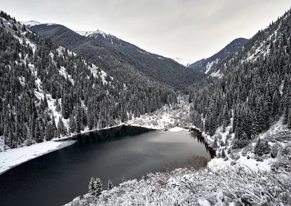 Luftaufnahme Des Kolsay Bergsees Und Des Verschneiten Waldes Zur Winterzeit — Stockfoto