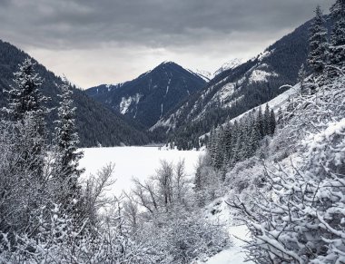 Kolsay dağlarının manzarası ve kış zamanı Kazakistan dağlarında bulutlu gökyüzüne karşı karlı orman.. 