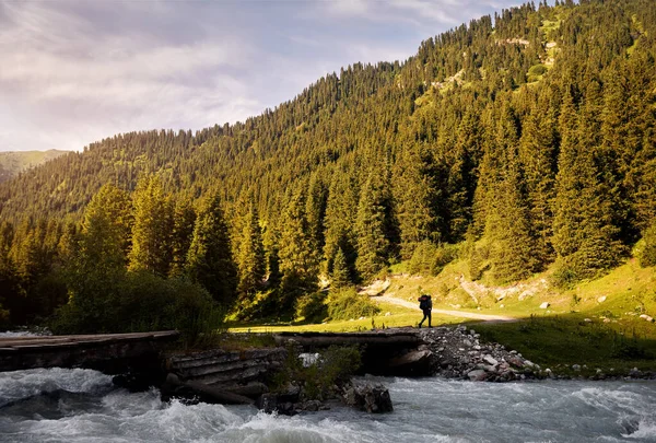 Turista Velkým Zeleným Batohem Přechází Řeku Mostě Lesích Horského Údolí — Stock fotografie