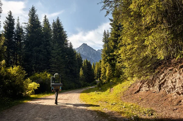 大きな緑のバックパックを持つ観光客は カラコル国立公園 キルギスの山の谷の森の中の道を歩いている — ストック写真