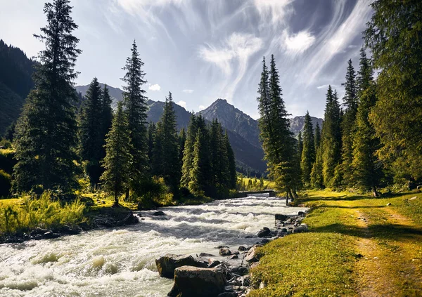 Rzeka Karakol Dolinie Górskiej Las Dużymi Sosnami Parku Narodowym Karakol — Zdjęcie stockowe