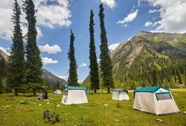 Tente Verte Dans Vallée Montagne Avec Grands Sapins Dans Parc — Photo