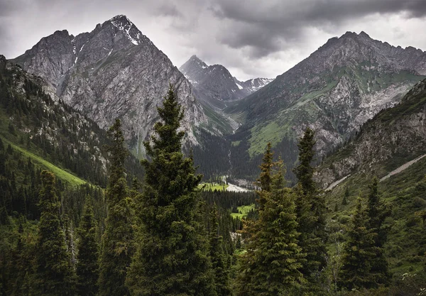 Paesaggio Valle Foresta Con Montagne Rocciose Fiume Cielo Nuvoloso Nel — Foto Stock