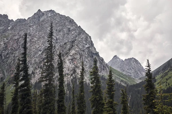 Landskap Skogs Dal Med Klippiga Berg Molnig Himmel Karakol Nationalpark — Stockfoto