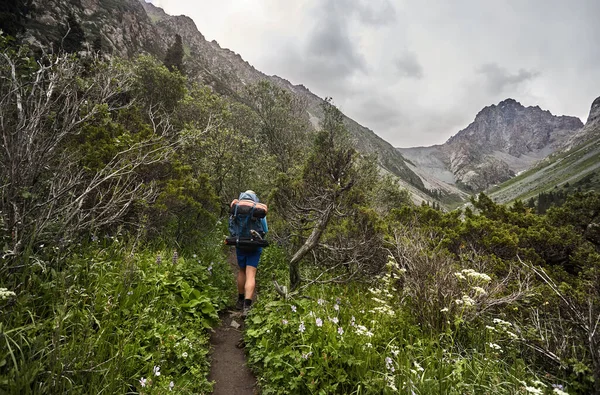 Turysta Dużym Plecakiem Znajduje Się Leśnym Szlaku Dolinie Górskiego Parku — Zdjęcie stockowe