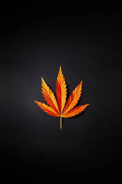 Folha Cannabis Laranja Brilhante Fundo Preto Simples Flat Lay Espaço — Fotografia de Stock