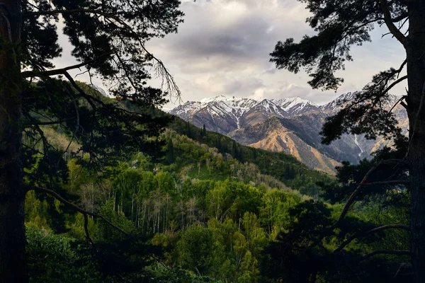 Prachtig Landschap Van Besneeuwde Bergen Bij Bewolkte Zonsopgang Lucht Omlijst — Stockfoto