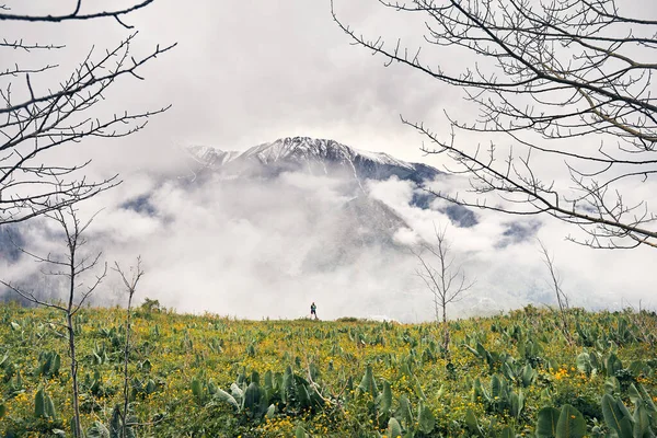 Liten Turist Med Grön Ryggsäck Ser Snö Bergsdal Almaty Våren — Stockfoto