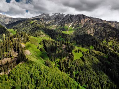 Güneşli bir günde, güzel dağlardaki çam ormanlarının havadan görünüşü. Fotoğraf Drone ile çekildi