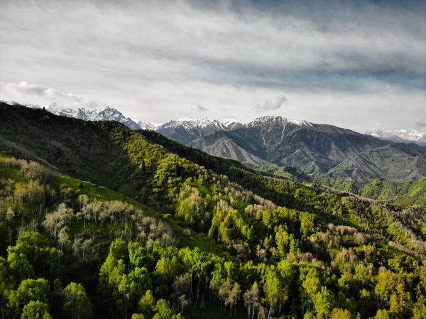 在阳光灿烂的日子 空中俯瞰美丽山区的绿林 与Drone合影 — 图库照片