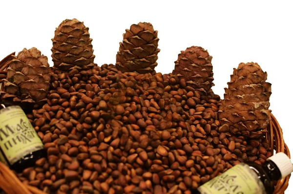 Cones de abeto. grão dos cones de abeto. comida para esquilos. óleo de abeto. cones de grão no fundo branco — Fotografia de Stock