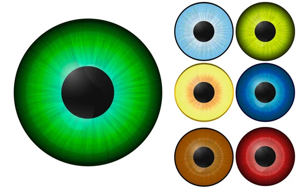Realistic Human Eye Performance Vector Graphics Eps Set Colored Human — Stock Vector