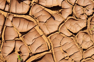 arka plan olarak kuru toprak