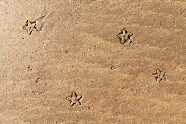 Background starfish on the sand — Stock Photo, Image