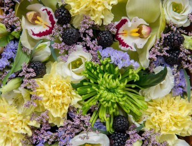 Çiçek arka planı. Kapat.