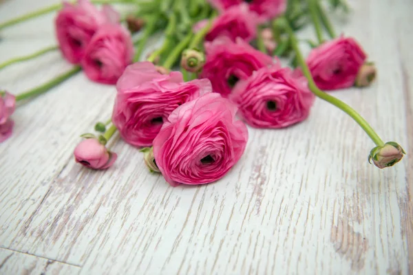 Fundo de flores. Fechar — Fotografia de Stock