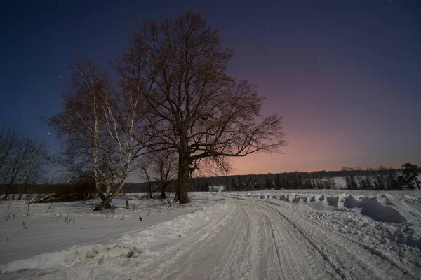 Grande albero con strada invernale di notte — Foto Stock