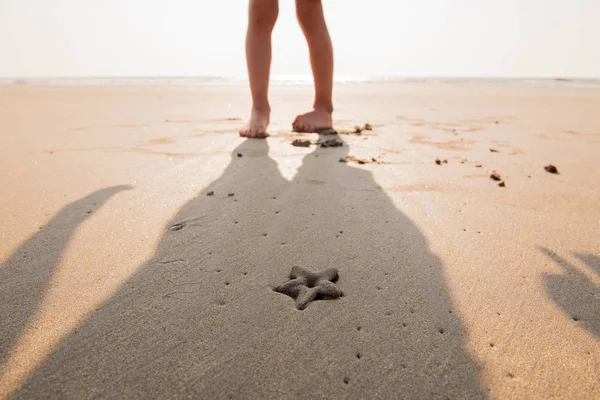 Background starfish on the sand — Stock Photo, Image