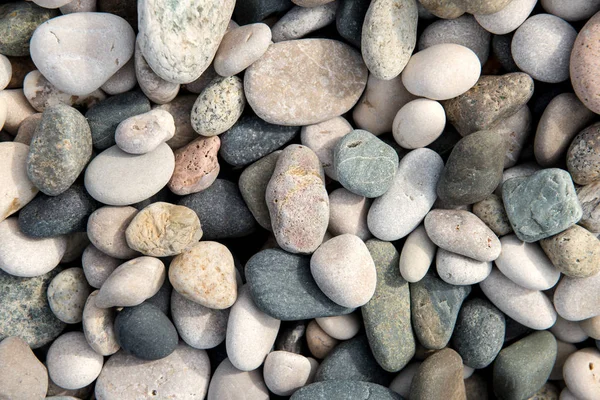 Пляжные камни — стоковое фото