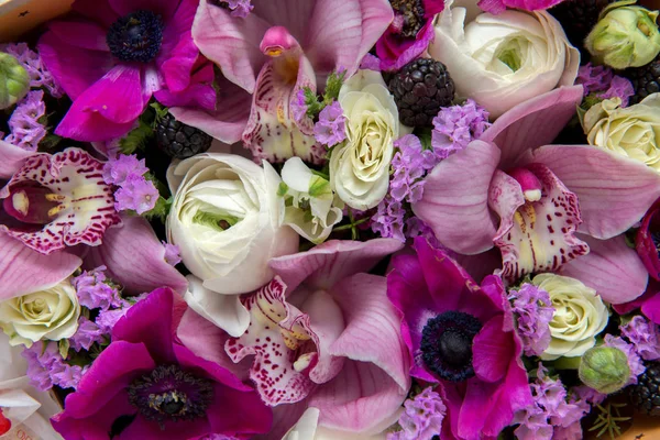 Flowers background. Close up — Stock Photo, Image