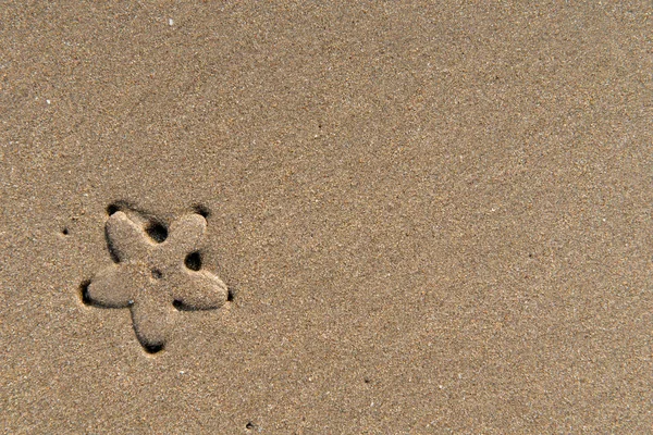 Background starfish on the sand — Stock Photo, Image