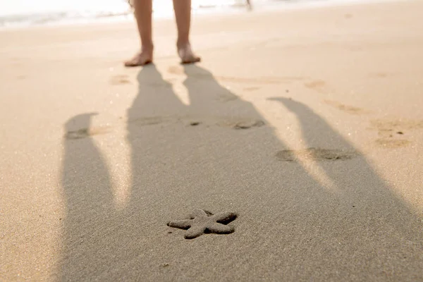 Background starfish on the sand — Stock Photo, Image