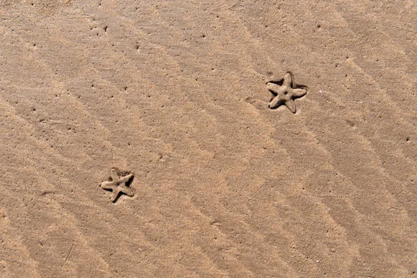 Background starfish on the sand — Stock Photo, Image