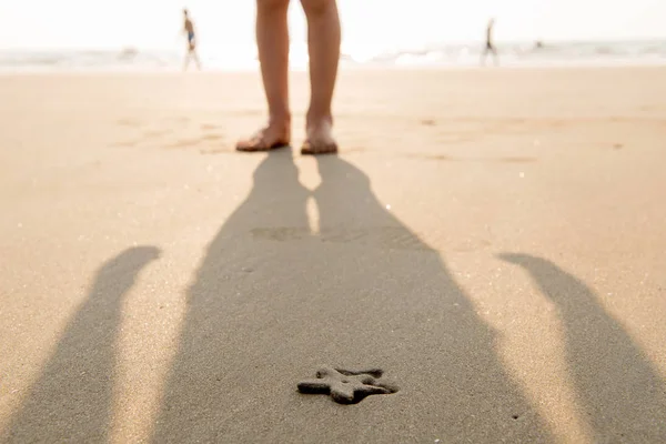 Hintergrund Seestern auf dem Sand — Stockfoto