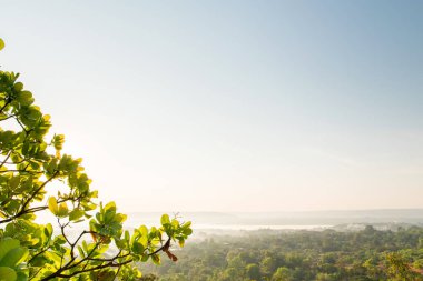 Dağlar manzara taze yeşil yaprak
