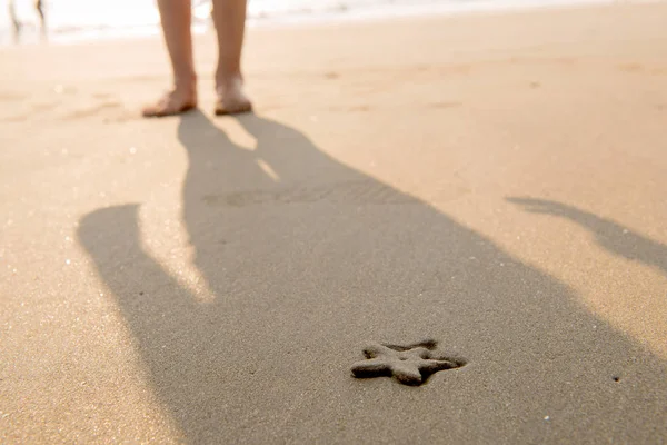 Background starfish on the sand — Stock Photo, Image