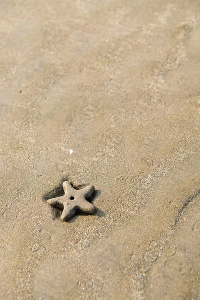 Starfish on beach sand — Stock Photo, Image