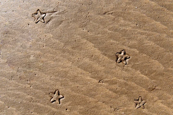 Tengeri csillag a homok. Felülnézet háttér — Stock Fotó