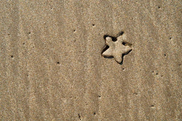 Seestern auf Sand. Hintergrund von oben — Stockfoto