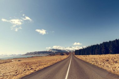 İzlanda'daki yol. Bahar zamanı.