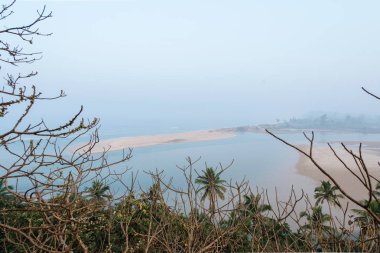 Fort dalları ile büyümüş. Redi Kalesi (Yashwantgad Fort). Hindistan, Maharashtra.