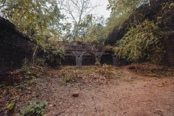 Fuerte cubierto de ramas. Fuerte Redi (Fuerte Yashwantgad). India, Maharashtra . —  Fotos de Stock