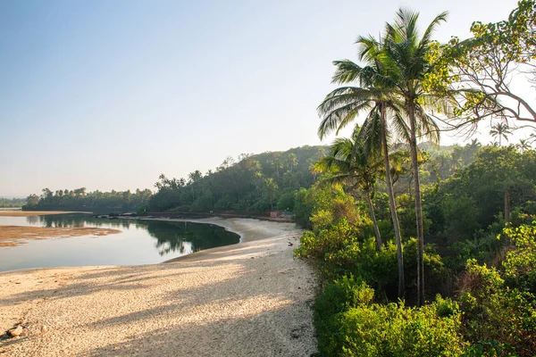 Landscape with palms in Ingia, Goa. — Stock Photo, Image