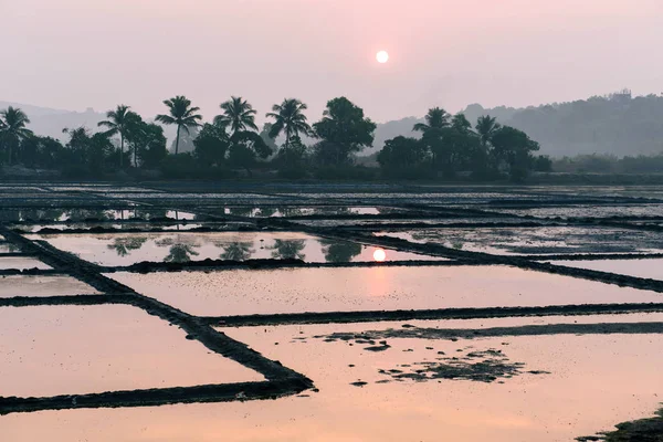 Campos de arroz inundados de agua —  Fotos de Stock