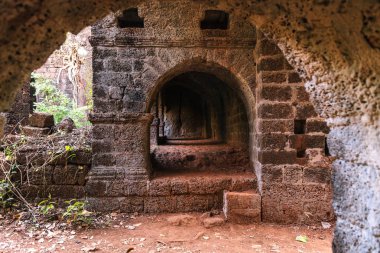 Fort dalları ile büyümüş. Redi Kalesi (Yashwantgad Fort). Hindistan, Maharashtra