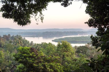 Nehir ve orman manzara