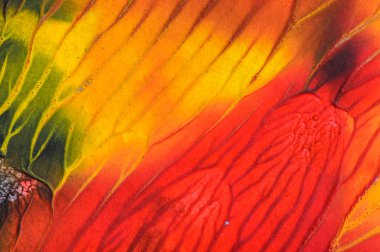 El çizimi guaj resmi. Soyut sanat geçmişi. Renk dokusu.