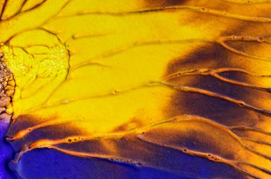 El çizimi guaj resmi. Soyut sanat geçmişi. Renk dokusu.