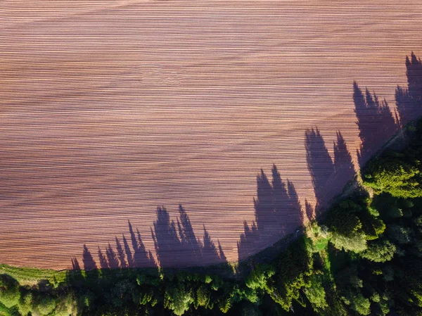 Vue par drone sur un champ labouré — Photo