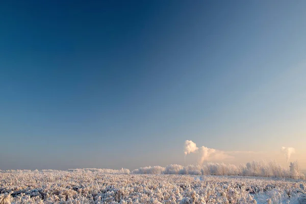 Paesaggio invernale con alberi innevati — Foto Stock