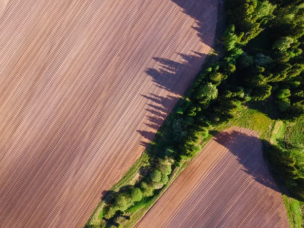Visão do drone em um campo arado — Fotografia de Stock