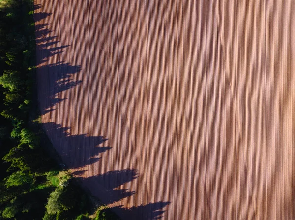 Vue par drone sur un champ labouré — Photo