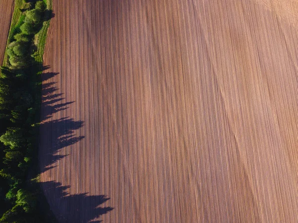 Vue par drone sur un champ labouré — Photo