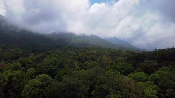 インドネシア、バリ島タンブリン湖の近くの山の中のジャングルの中のドローンビュー — ストック動画