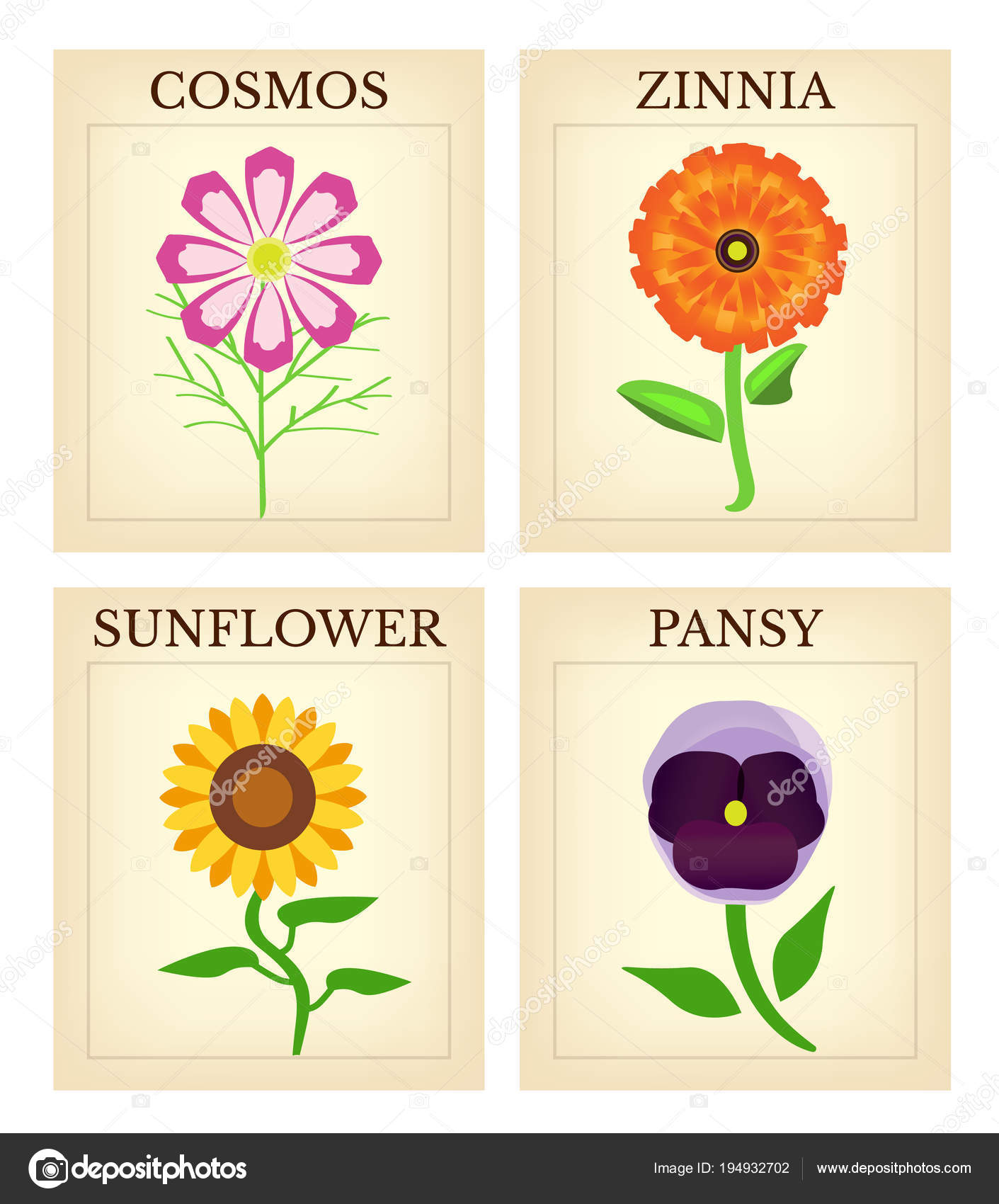 Flower Seed Packets Set Four Vintage Flower Seed Packets Including Stock  Vector by ©adamsl 194932702